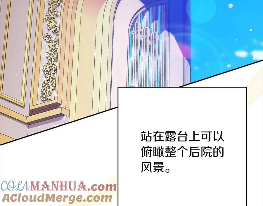 《这个婚反正也要完蛋》第53话 最高贵的女人 第137页