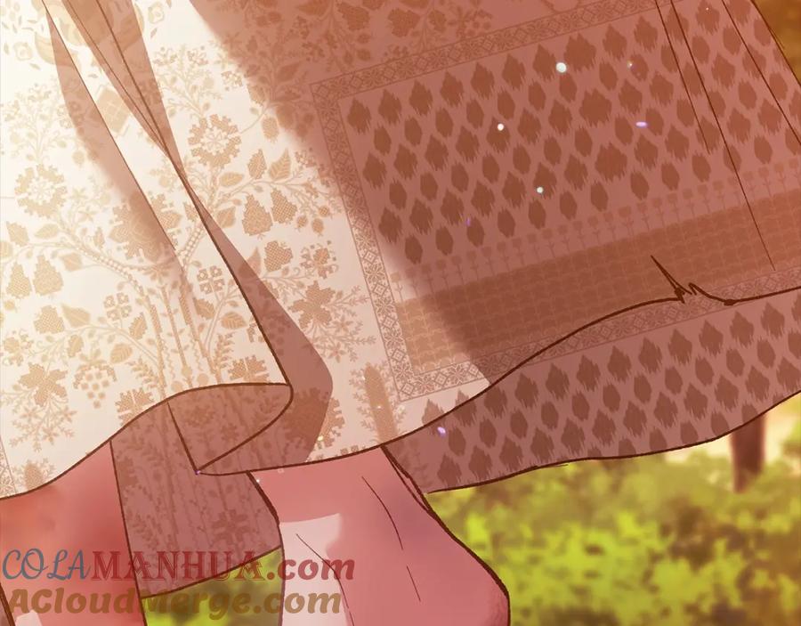 《这个婚反正也要完蛋》第53话 最高贵的女人 第189页