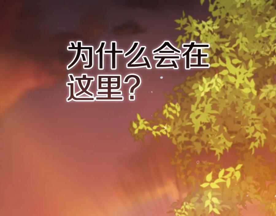 《这个婚反正也要完蛋》第53话 最高贵的女人 第208页