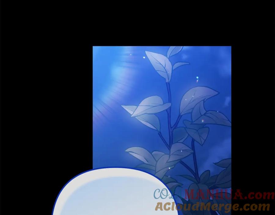 《这个婚反正也要完蛋》第54话 爱惨了 第209页