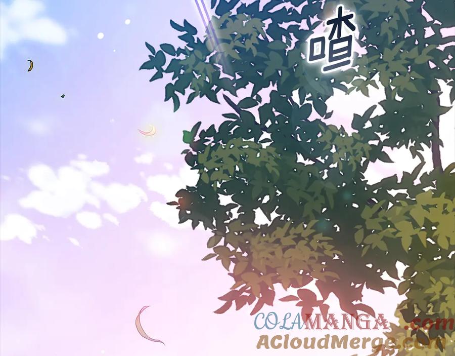 《这个婚反正也要完蛋》第62话 因为他，尝到了权利的甜头 第5页