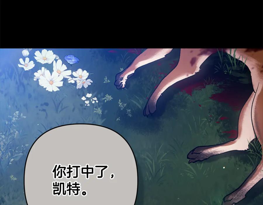 《这个婚反正也要完蛋》第62话 因为他，尝到了权利的甜头 第210页