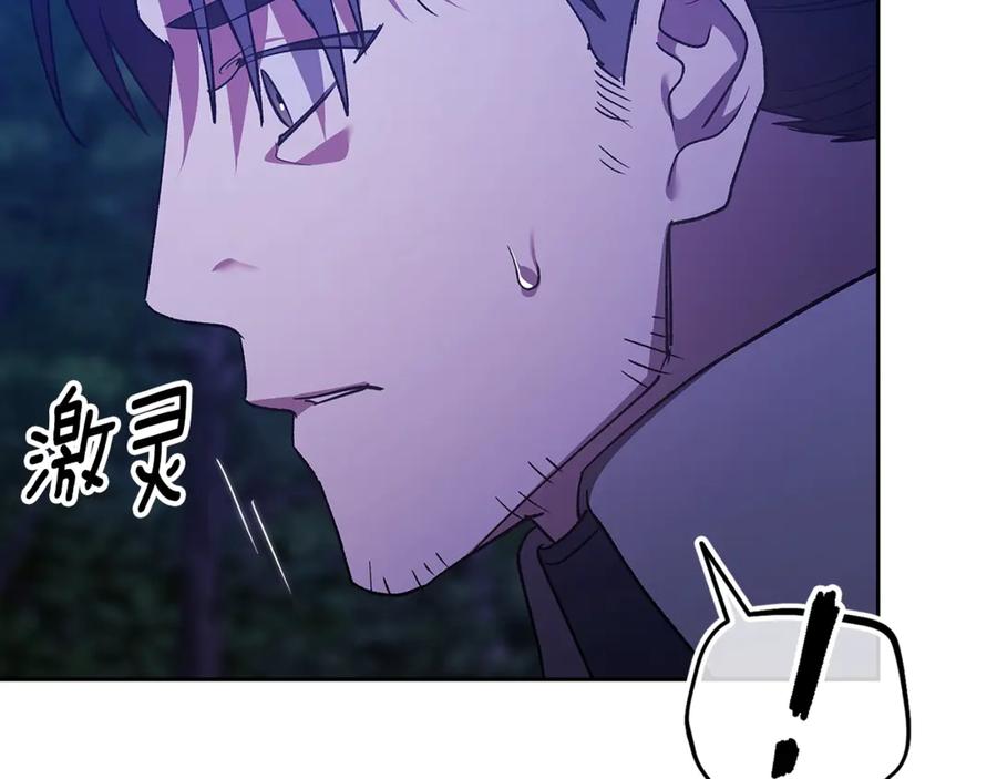 《这个婚反正也要完蛋》第72话 向我示好 第256页