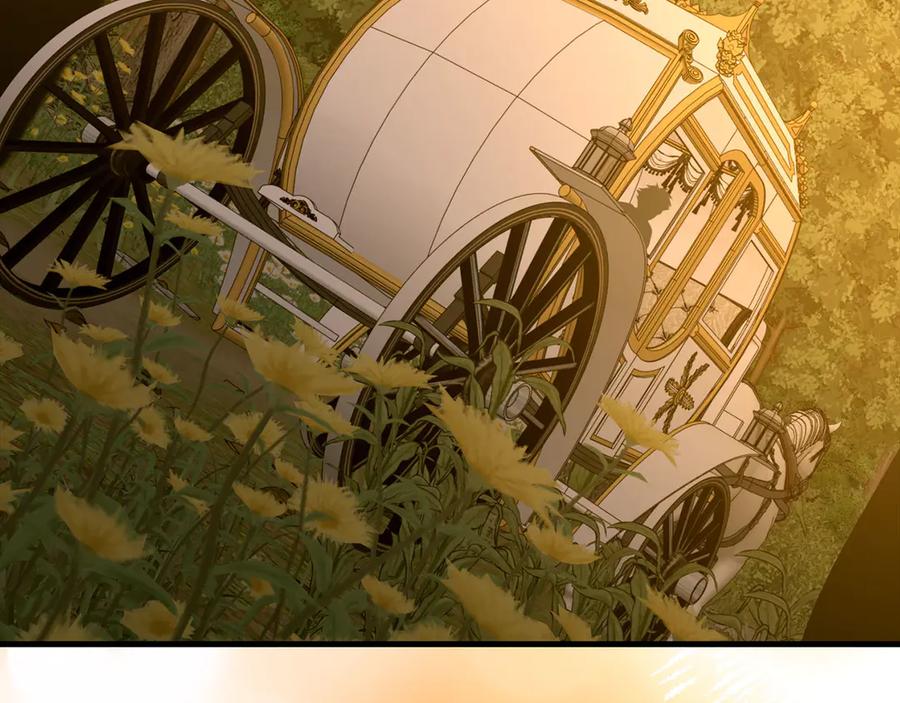 圣子是什么狗屁，这是现代医学的力量 - 第96话 十二英雄 - 第202张图