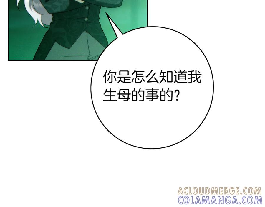 《这个婚绝对会成功》第33话 交换条件 第13页