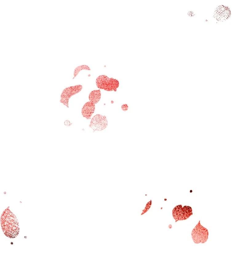 这个魔女白切黑 - 104 诺亚现身 - 第57张图