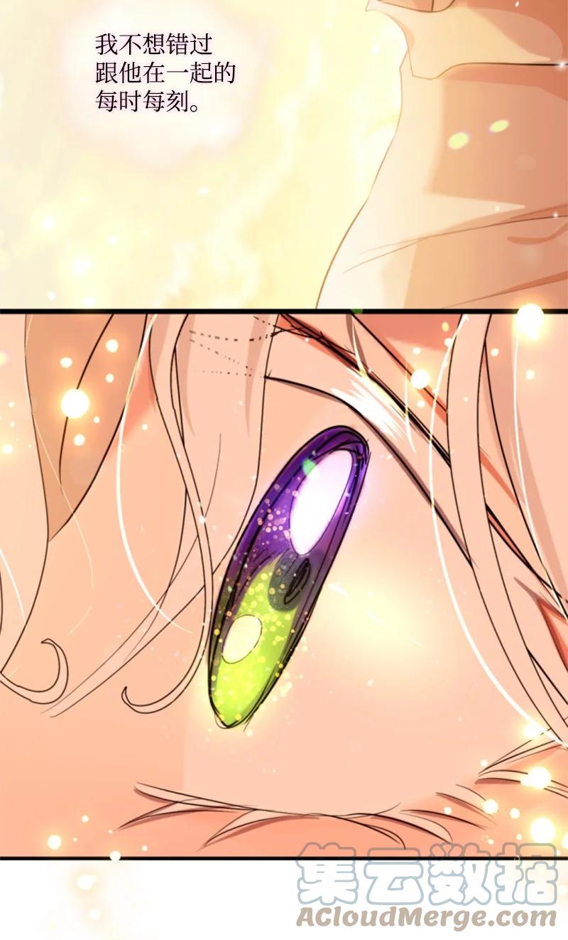 这个魔女白切黑 - 130 两个人的婚礼 - 第70张图