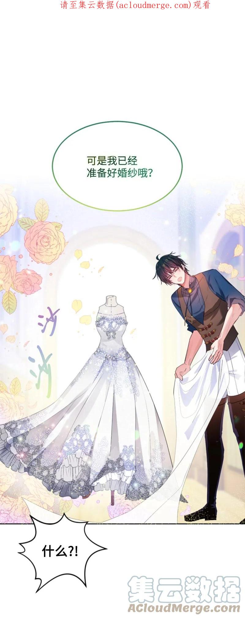 这个魔女白切黑 - 130 两个人的婚礼 - 第1张图