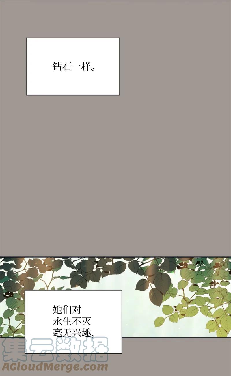 这个魔女白切黑 - 25 前生往事 - 第36张图