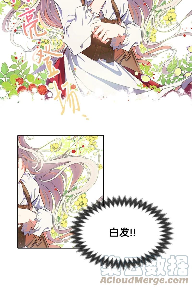 这个魔女白切黑 - 1 偶遇白发女 - 第22张图