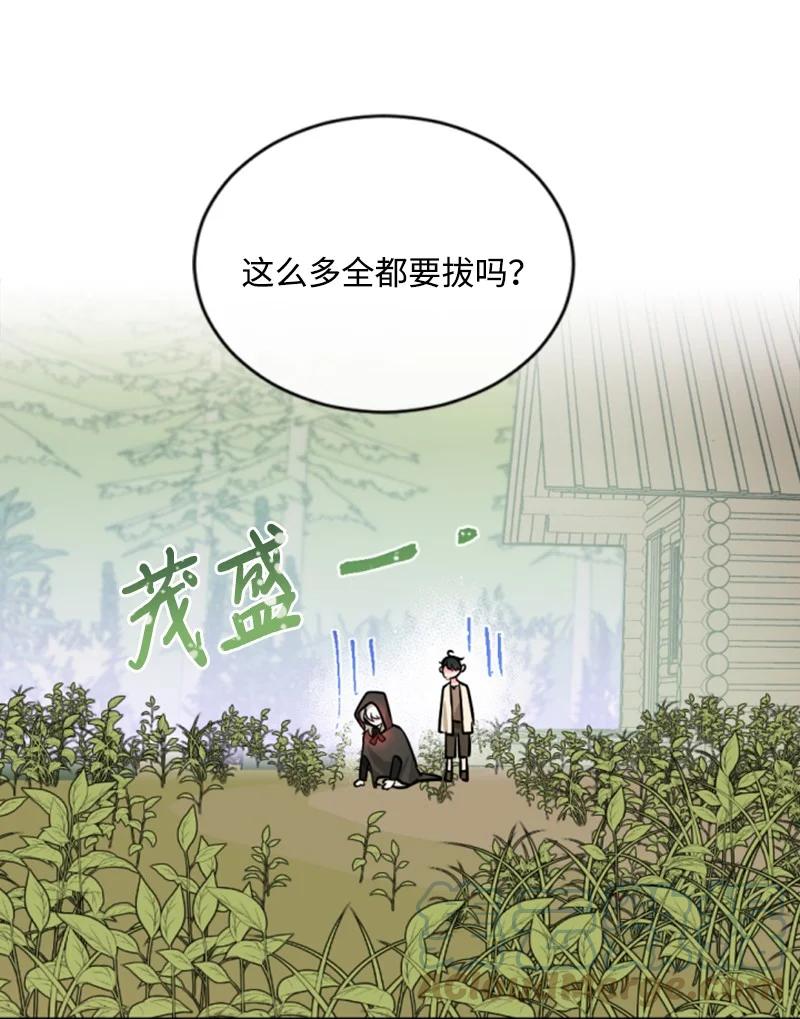 这个魔女白切黑 - 48 现实残酷 - 第45张图