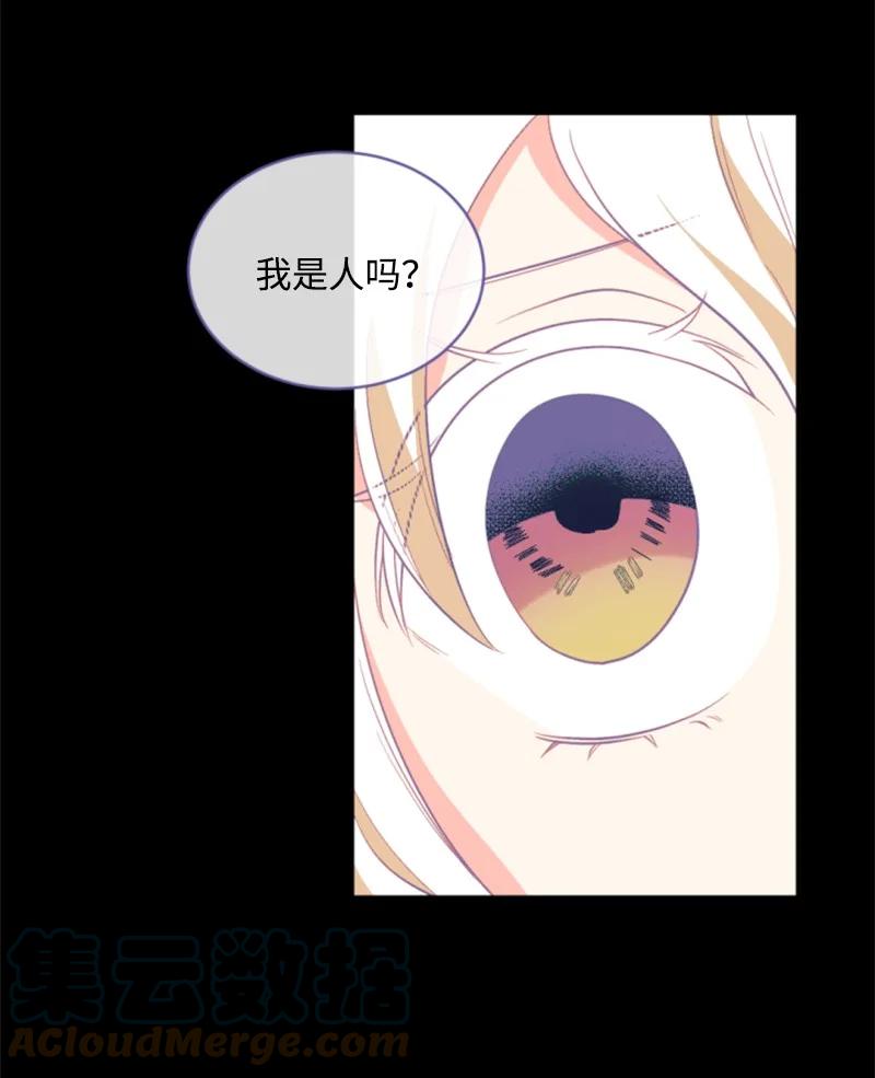 这个魔女白切黑 - 50 愿望成真 - 第40张图