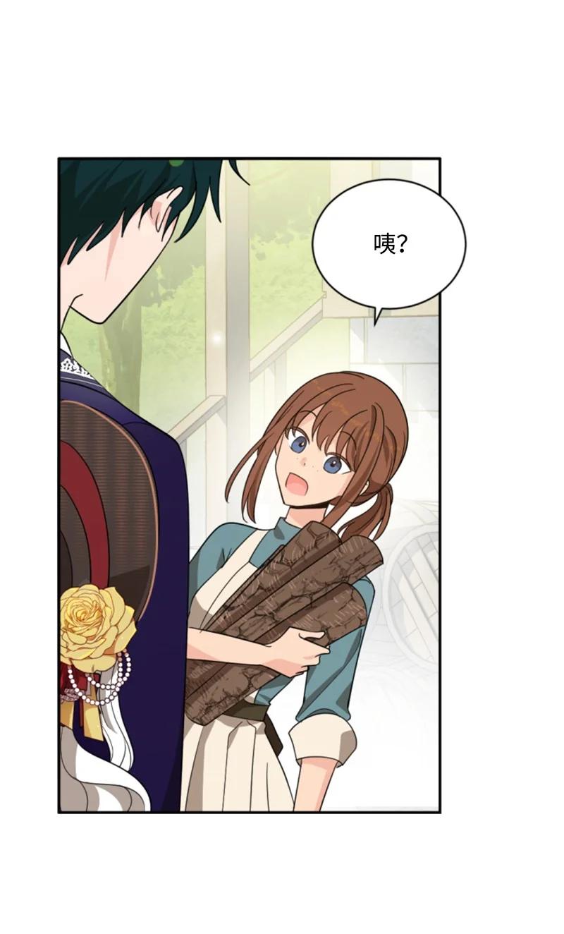 这个魔女白切黑 - 59 再见索菲 - 第62张图