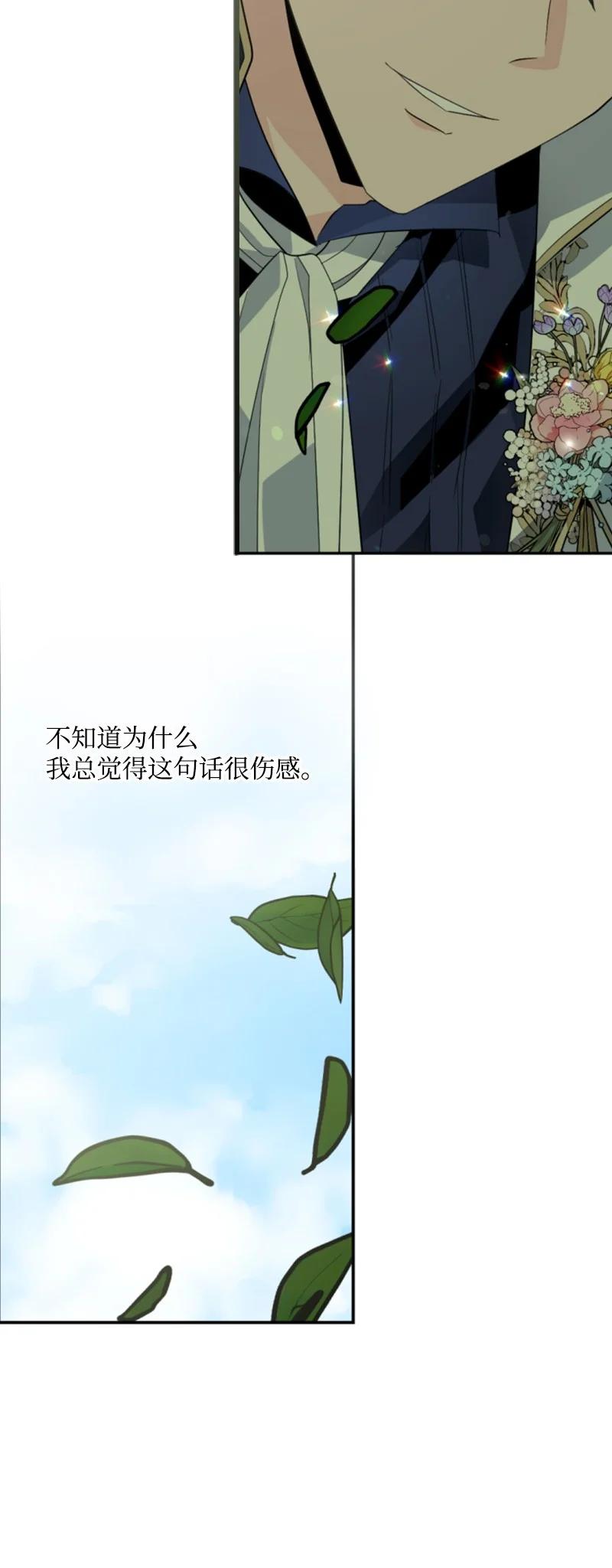 这个魔女白切黑 - 59 再见索菲 - 第26张图