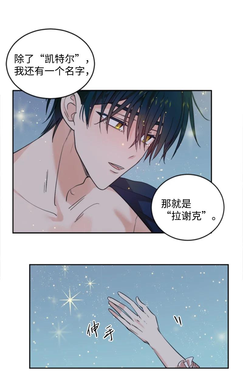 这个魔女白切黑 - 67 道出原委 - 第2张图