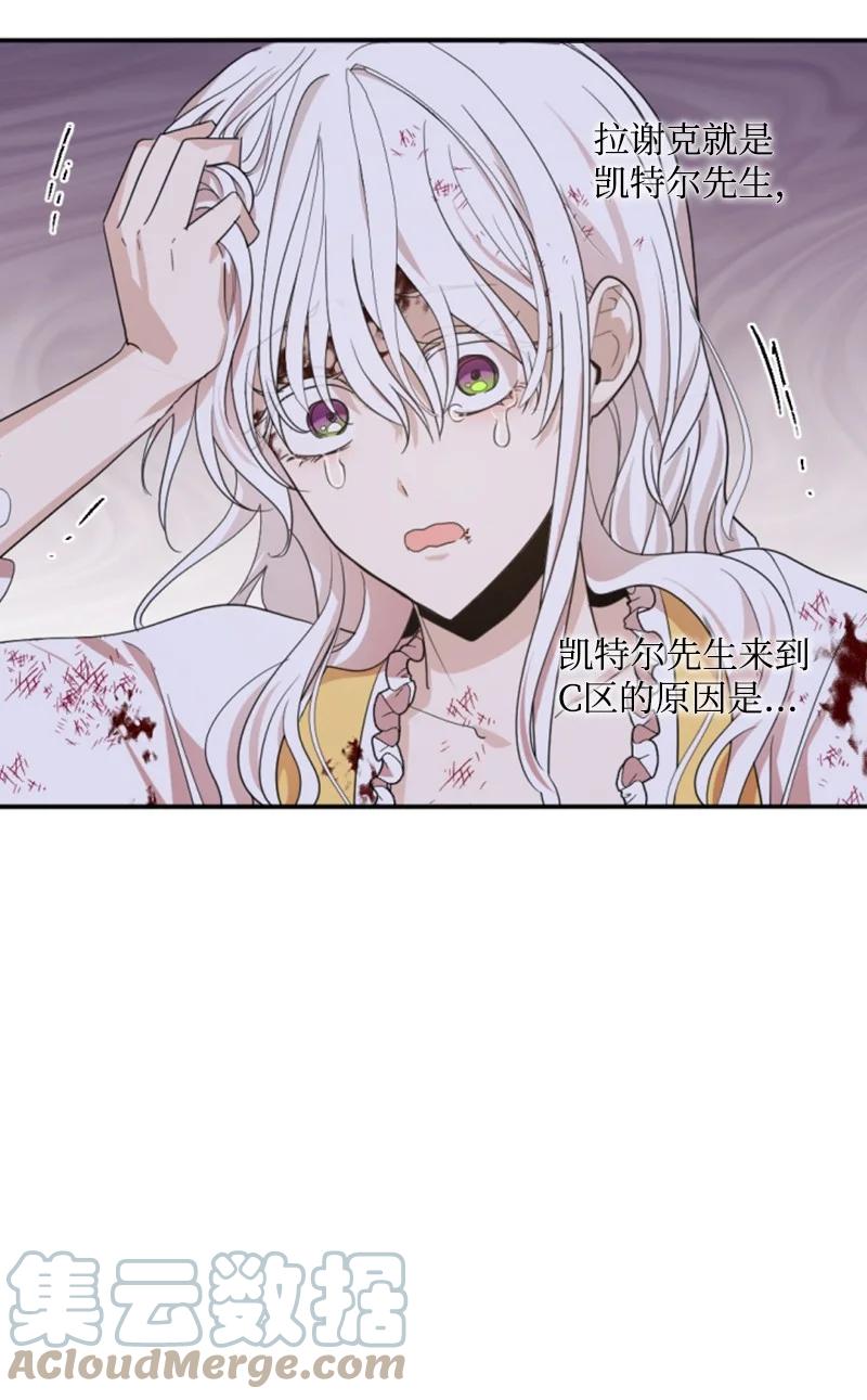 这个魔女白切黑 - 67 道出原委 - 第19张图