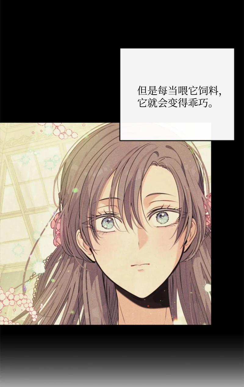 这个魔女白切黑 - 91 变态伯爵 - 第69张图