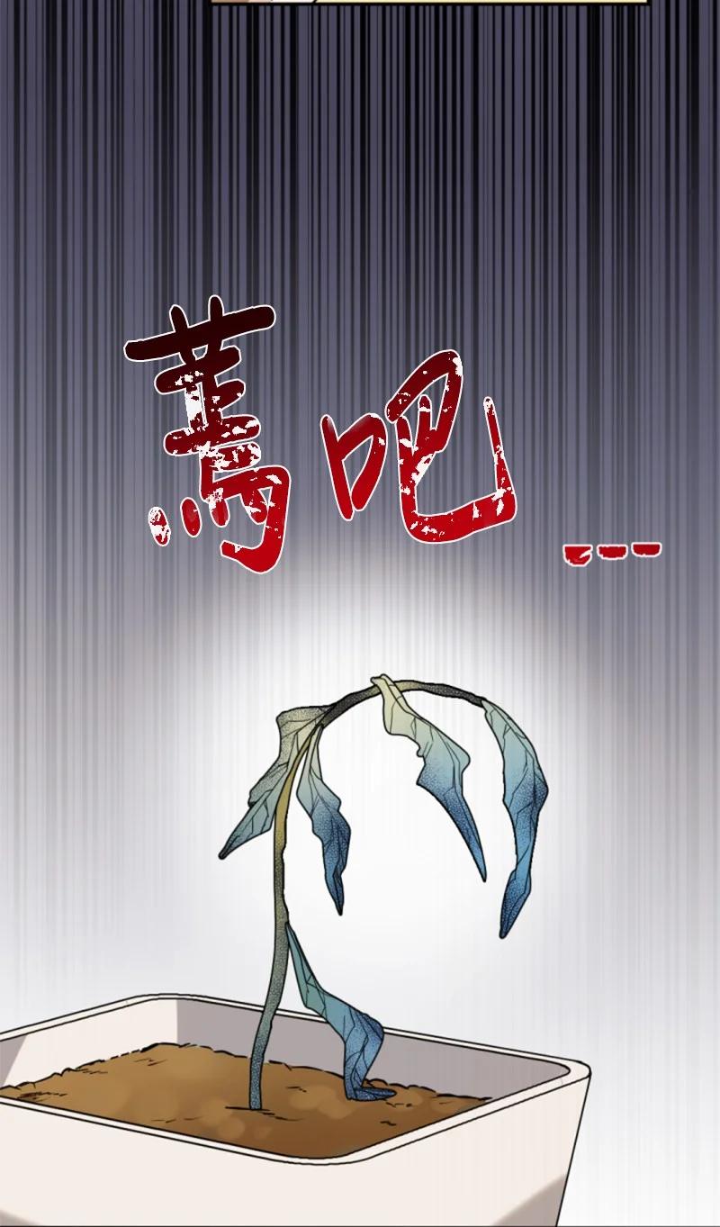 这个魔女白切黑 - 97 暗杀 - 第5张图