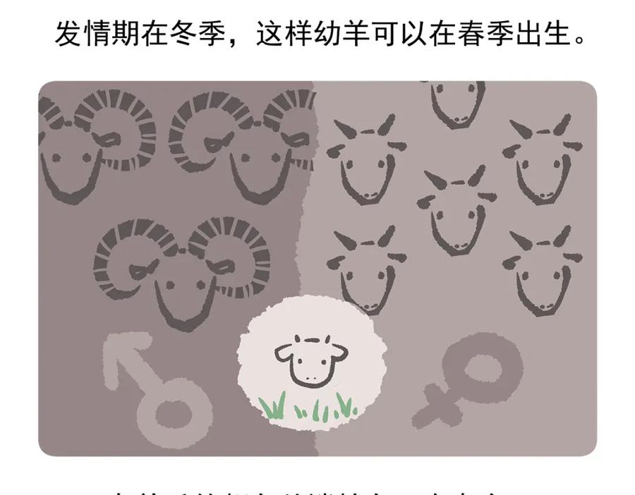 《胖达x胖达》第93话 第30页