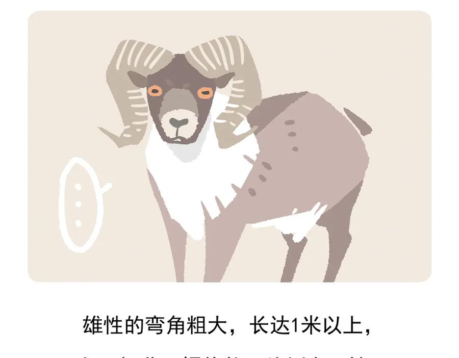 《胖达x胖达》第93话 第32页