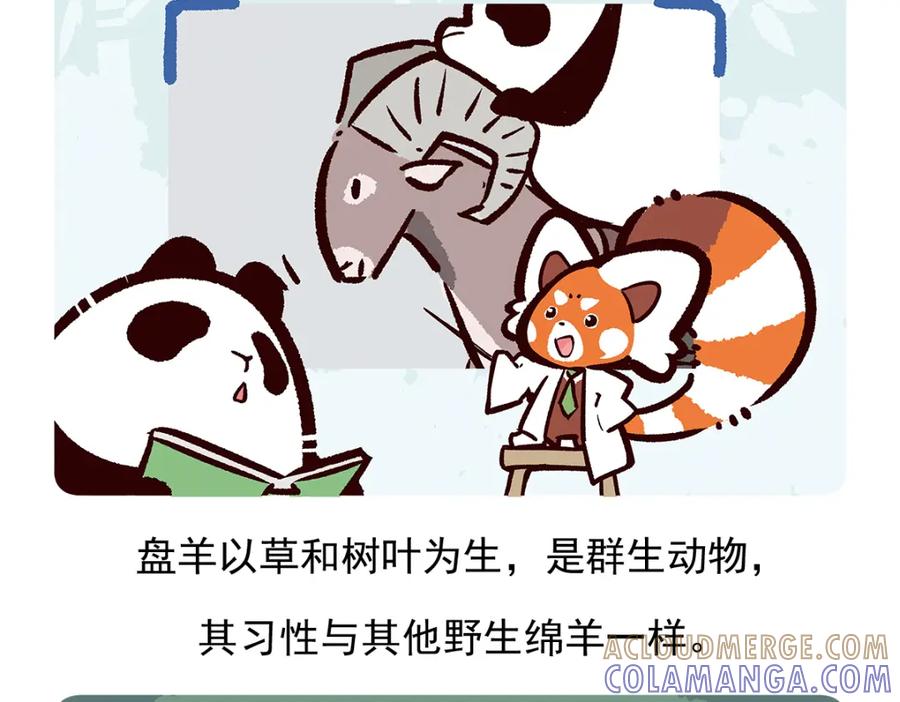 《胖达x胖达》第93话 第28页