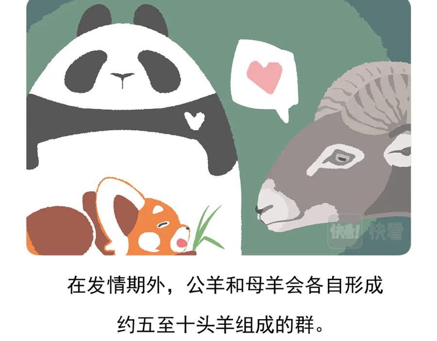 《胖达x胖达》第93话 第29页