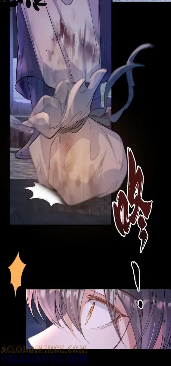 《乱世为王》135 满江红·惊觉 第16页