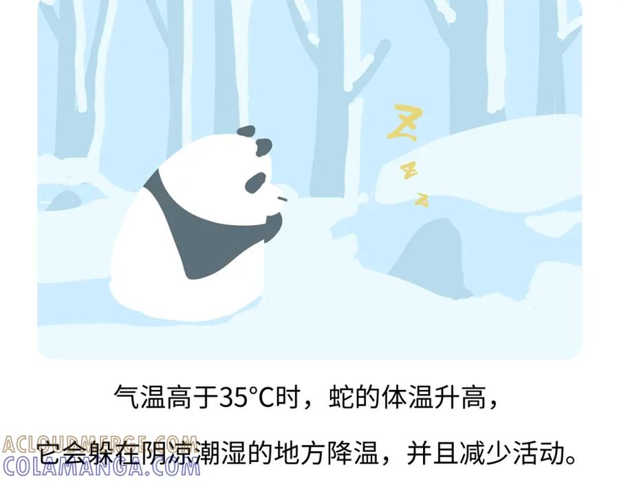 《胖达x胖达》第251话 第21页