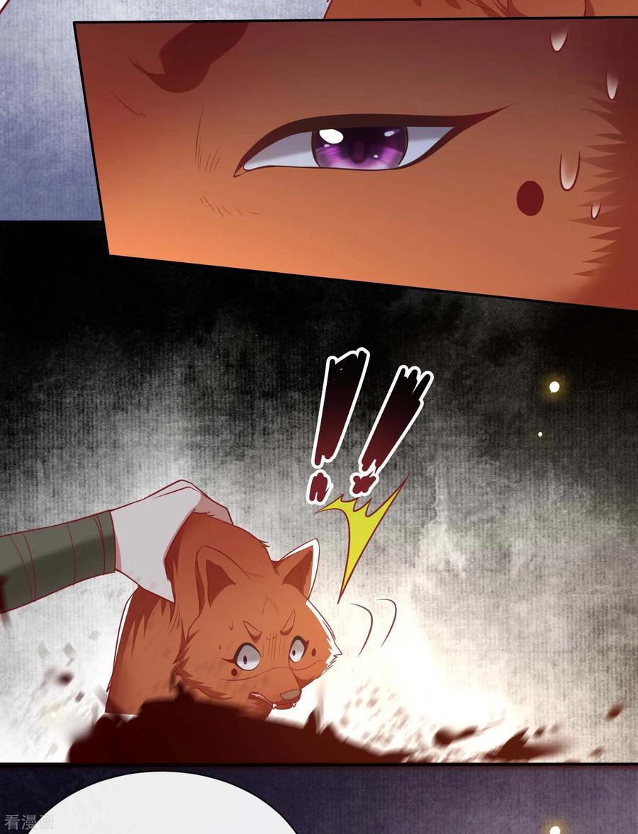 这个王妃路子野 - 第109话 赶紧把裤子脱了 - 第38张图