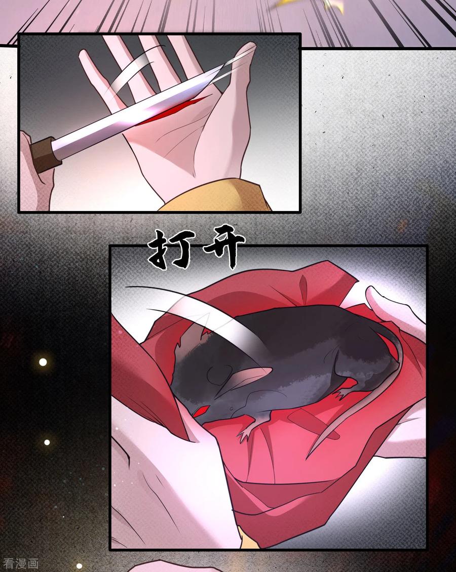 这个王妃路子野 - 第33话 赶紧把那只猫精收拾了！ - 第20张图