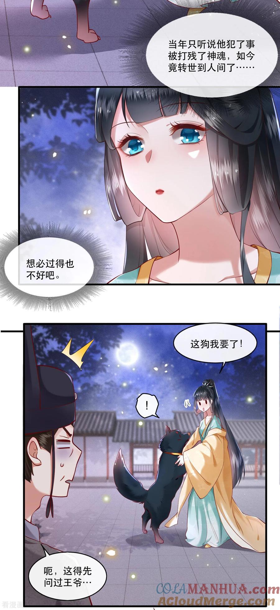 这个王妃路子野 - 第50话 喝了迷魂药，过了奈何桥 - 第3张图