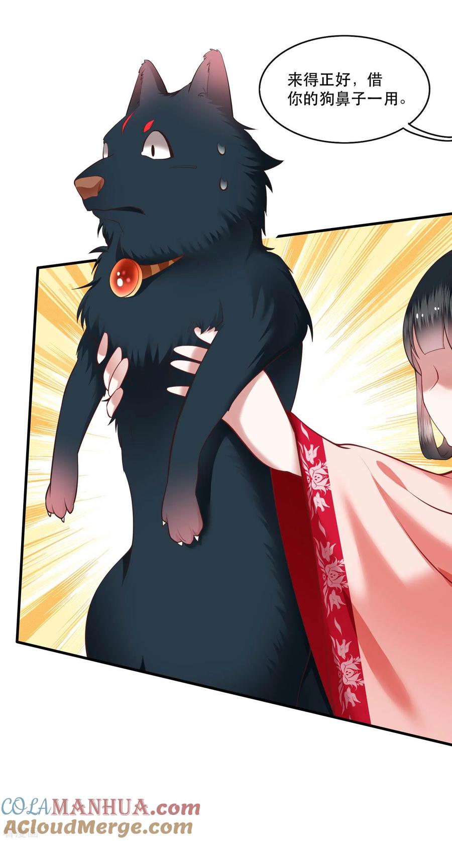 这个王妃路子野 - 第54话 学会给主人捡东西了！ - 第7张图