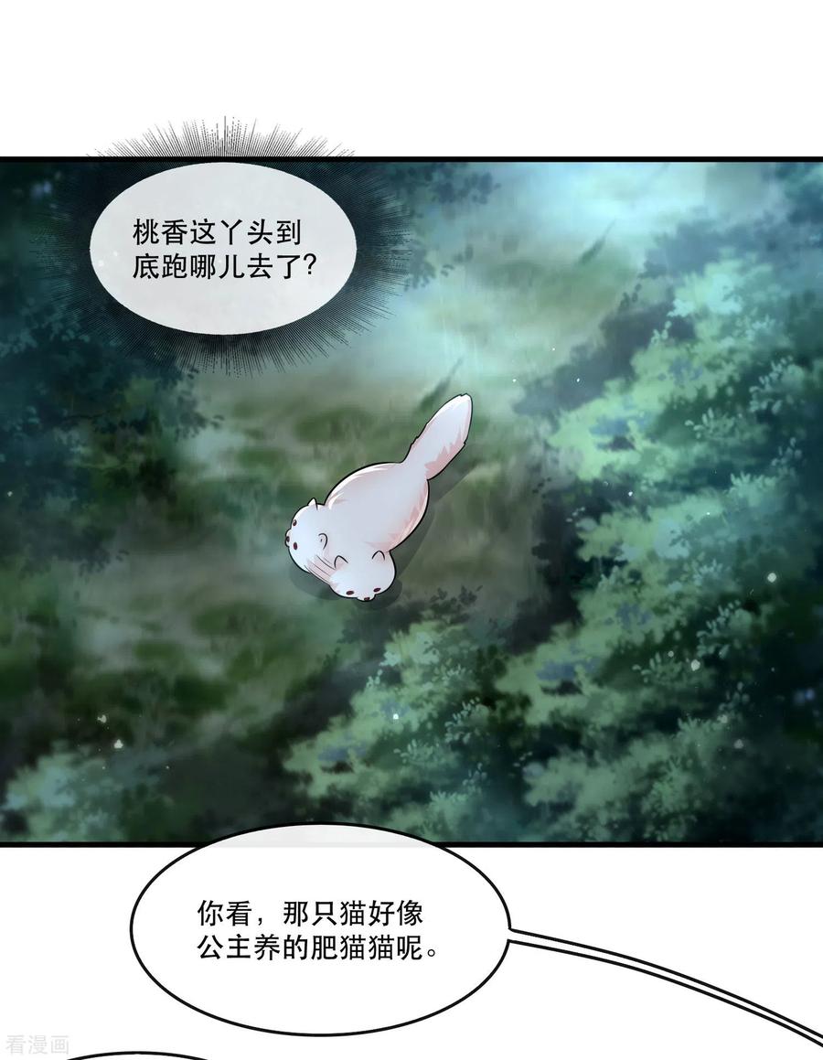 这个王妃路子野 - 第55话 淡雪与桃香的宿命 - 第41张图