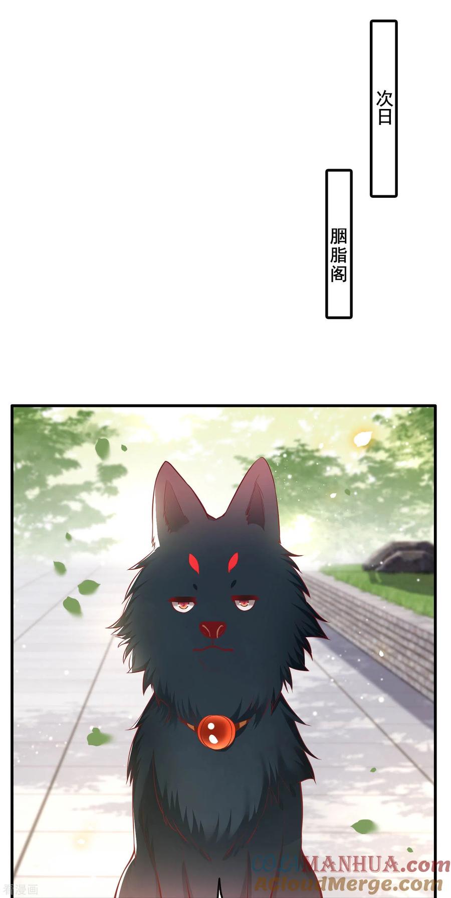 这个王妃路子野 - 第69话 老娘非北阴不嫁 - 第20张图