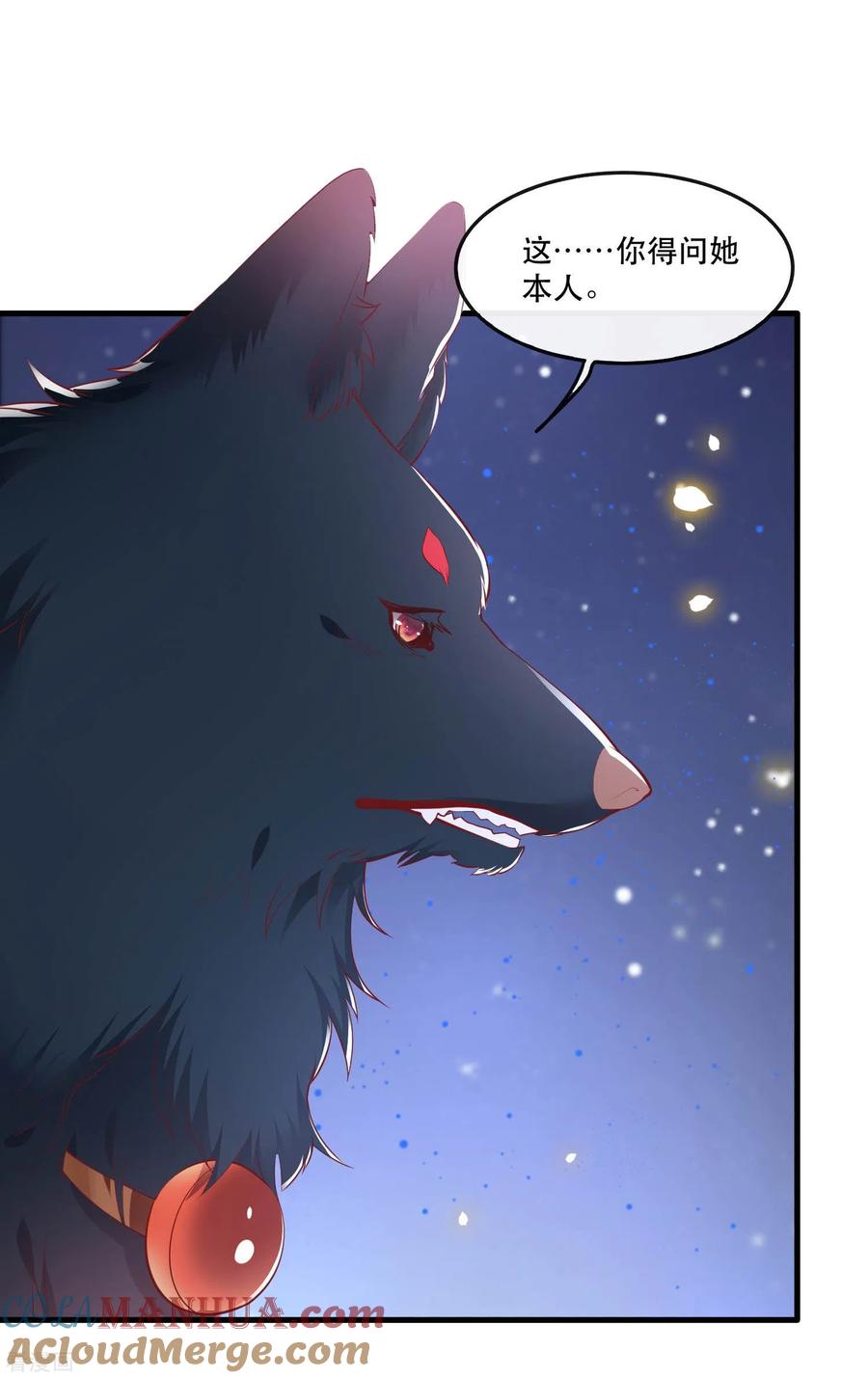 这个王妃路子野 - 第69话 老娘非北阴不嫁 - 第18张图