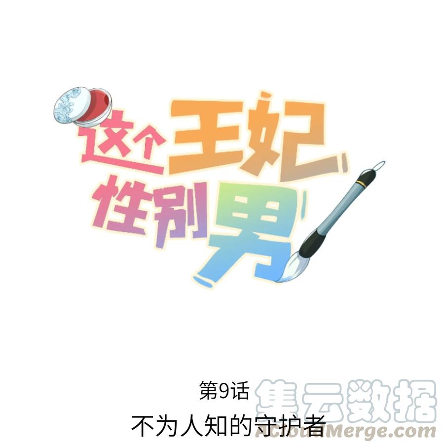 《这个王妃性别男》009 不为人知的守护者 第1页