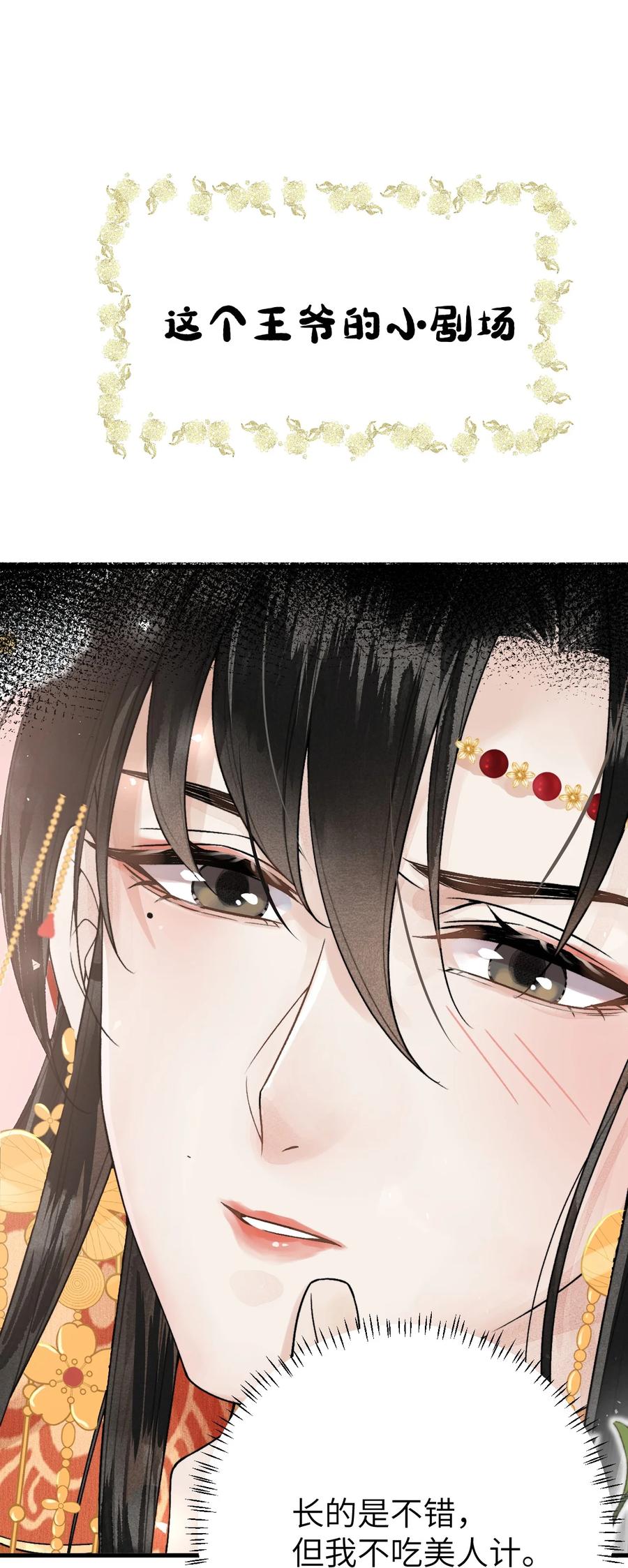 《这个王妃性别男》009 不为人知的守护者 第41页