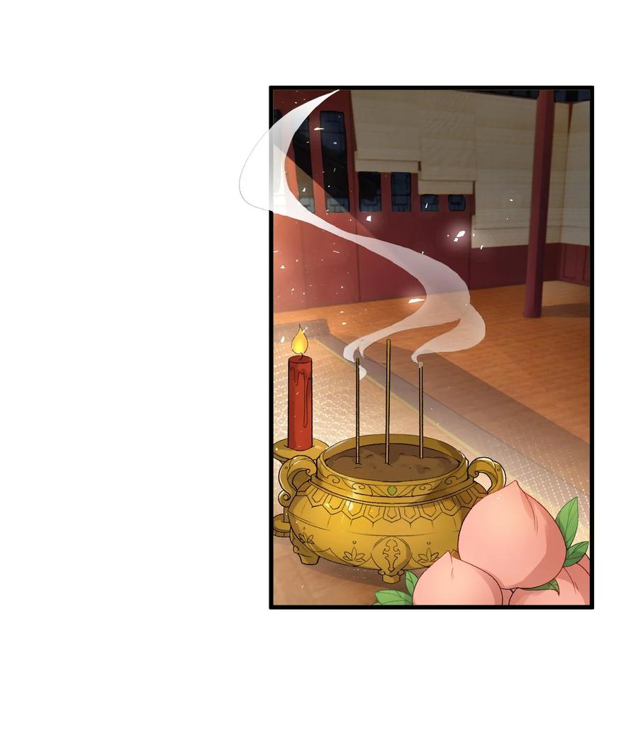 《这个王妃性别男》014 情敌与养子 第4页