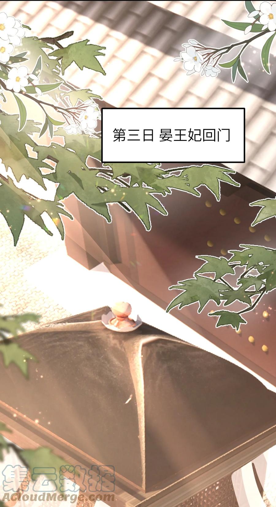 《这个王妃性别男》016 小仓鼠驯养计划 第40页