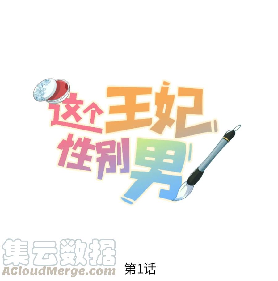《这个王妃性别男》001 王妃实习第一天 第1页