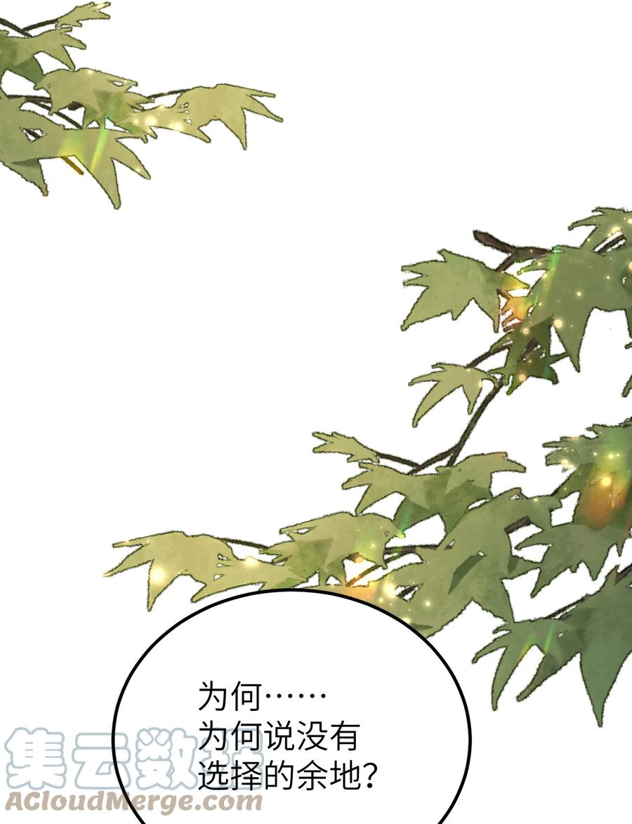 《这个王妃性别男》017 本王选的是他 第36页
