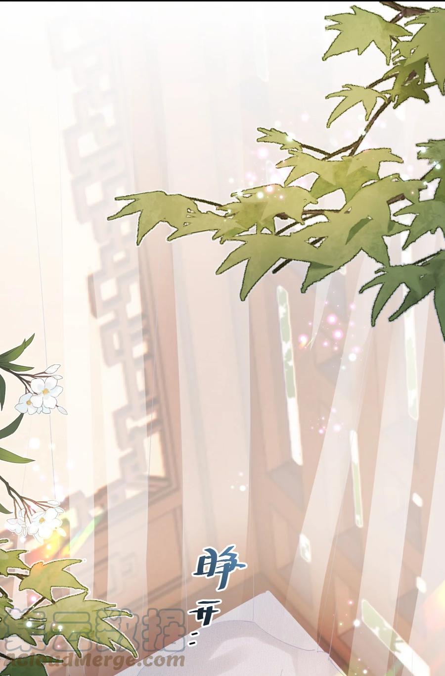 《这个王妃性别男》018 命中注定的相逢 第37页