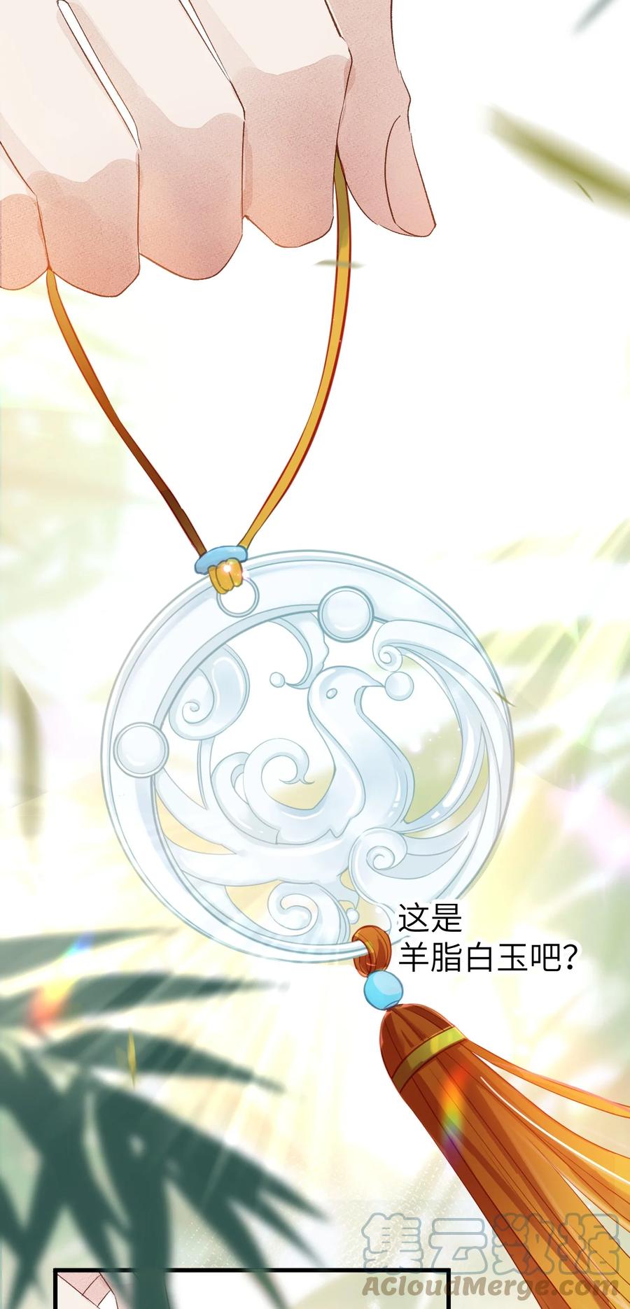 《这个王妃性别男》019 世界上最特殊的存在 第16页