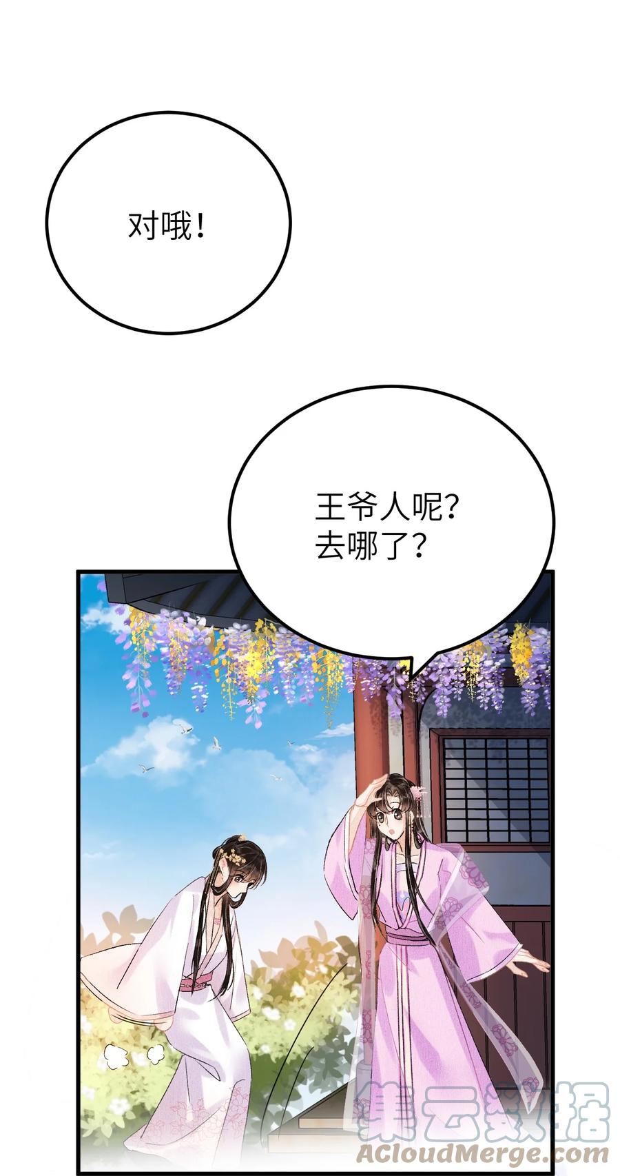 《这个王妃性别男》020 玉京生与鬼笔 第40页