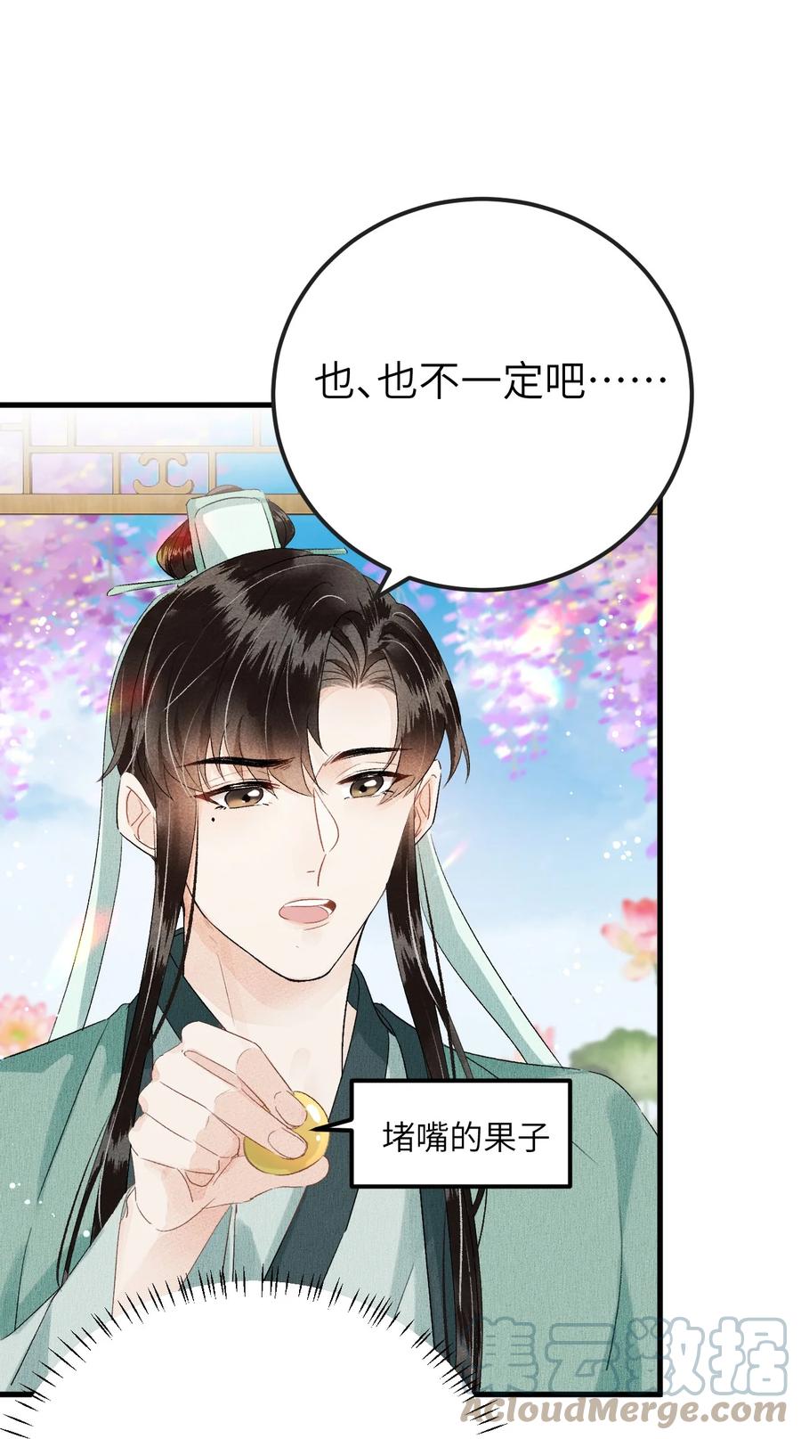 《这个王妃性别男》020 玉京生与鬼笔 第28页