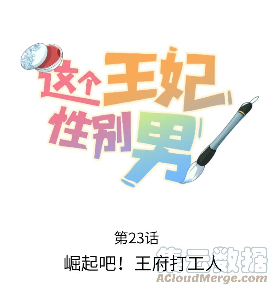 《这个王妃性别男》023 崛起吧！王府打工人！ 第1页