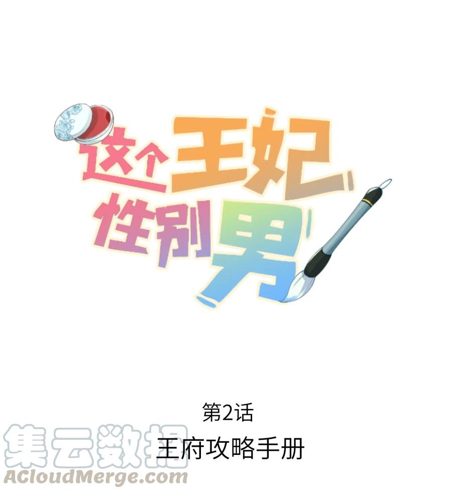 《这个王妃性别男》002 王府攻略手册 第1页