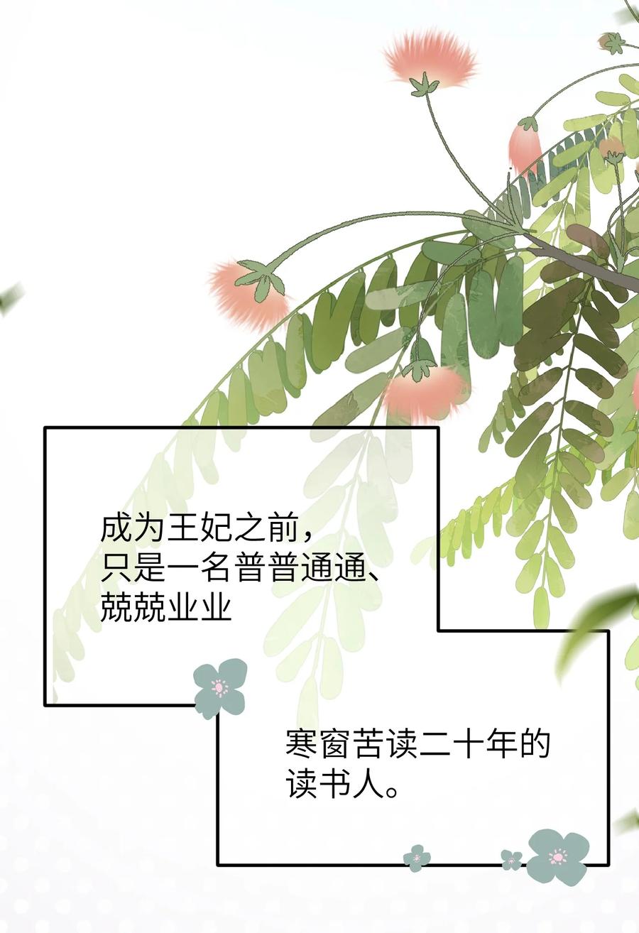 《这个王妃性别男》002 王府攻略手册 第18页