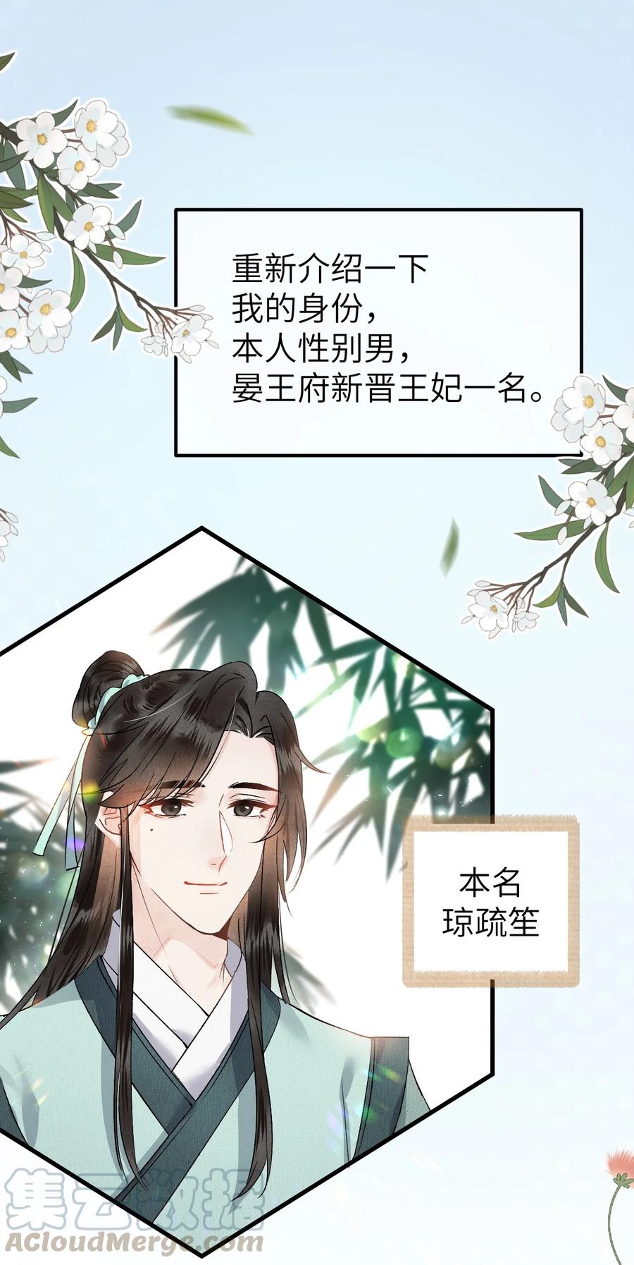 《这个王妃性别男》002 王府攻略手册 第17页