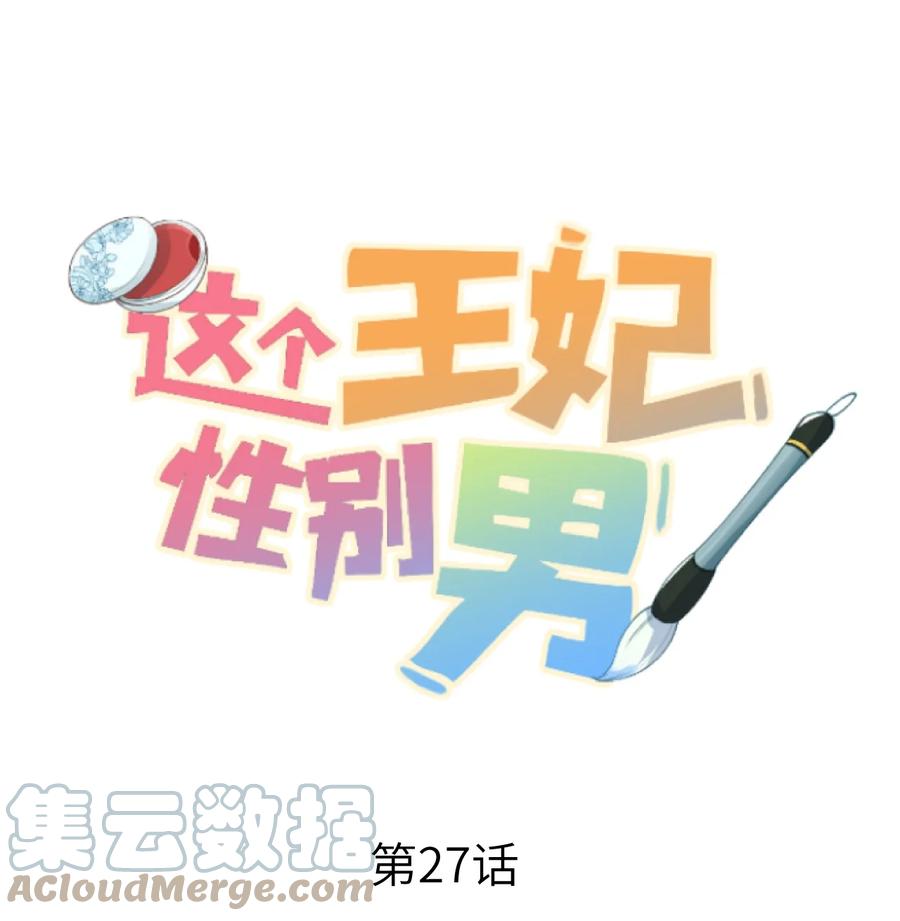 《这个王妃性别男》027 我有一个大胆的想法 第1页